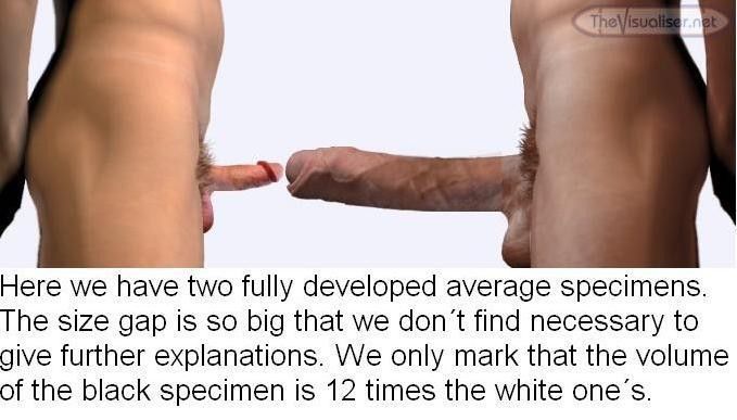 Captian R. recommend best of cock average white