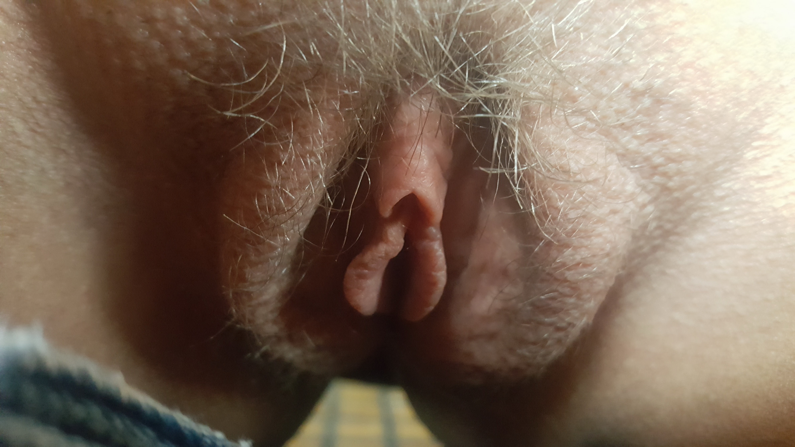 Milf Vulva Up Close