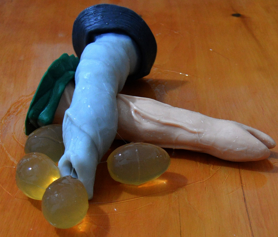 Fry S. reccomend oviposition toy