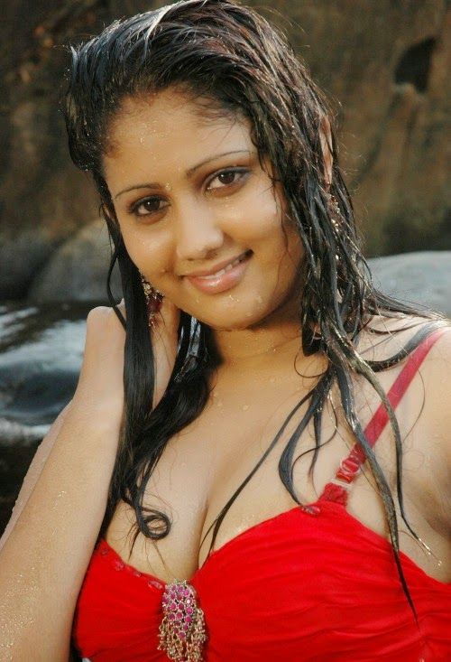 Felix reccomend hot south indian actress sexy boobs photo