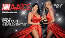 best of Awards adult video