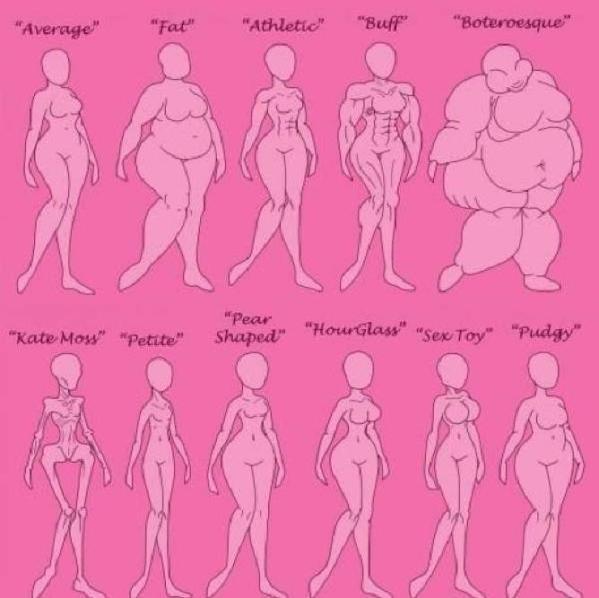 Body types
