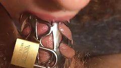 best of Wife chastity cage