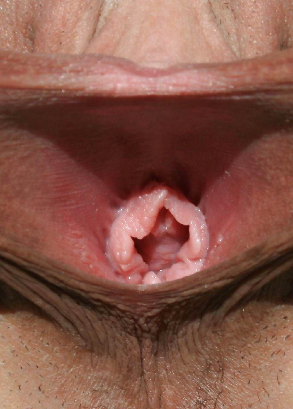 best of Wide pussy open lips