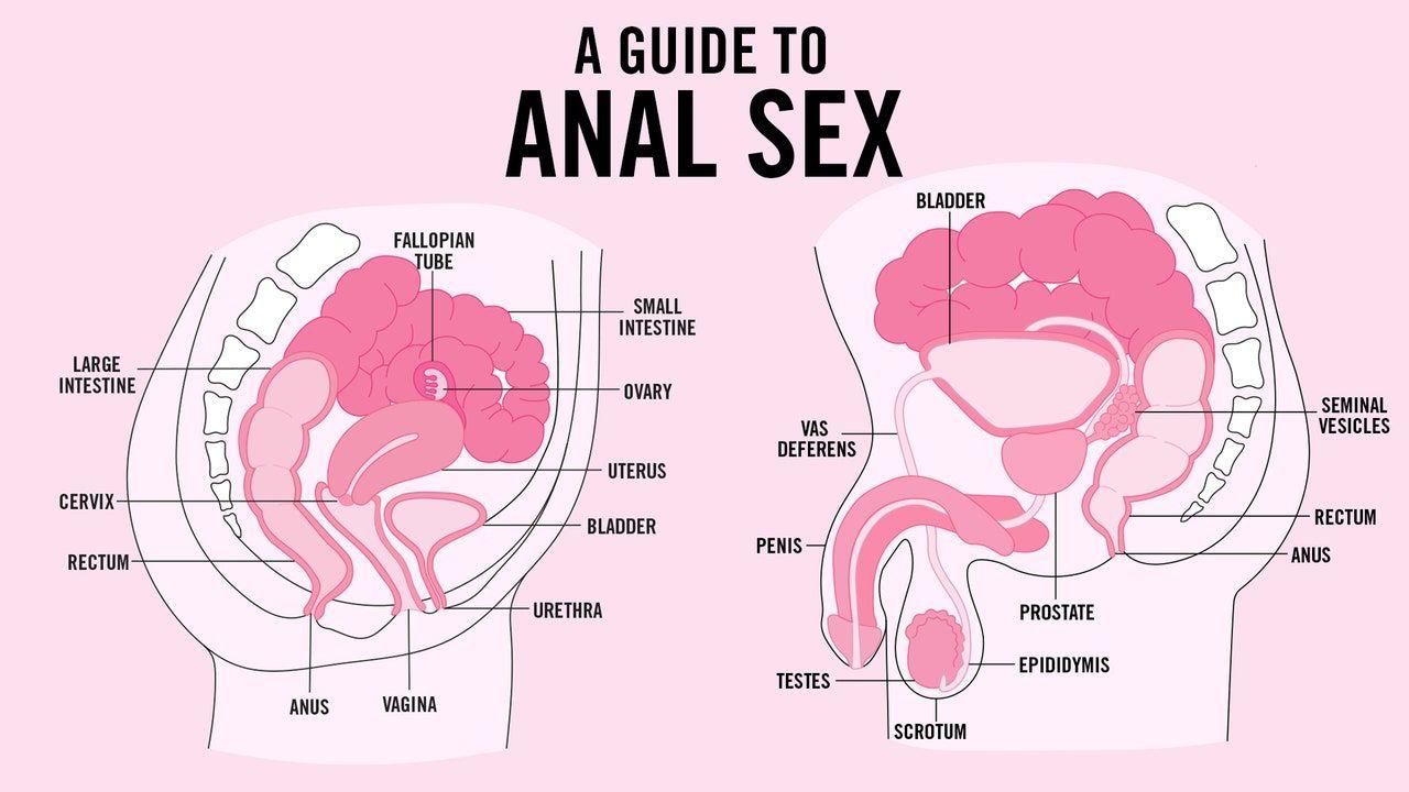best of Sex her for Making anal enjoyable