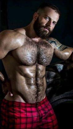 best of Muito e Treinamento Musculares, Explore vid twink mais Caras Gaywatch