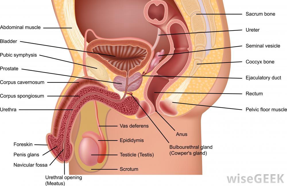 Burberry reccomend Girls hypogonadism signs clitoris