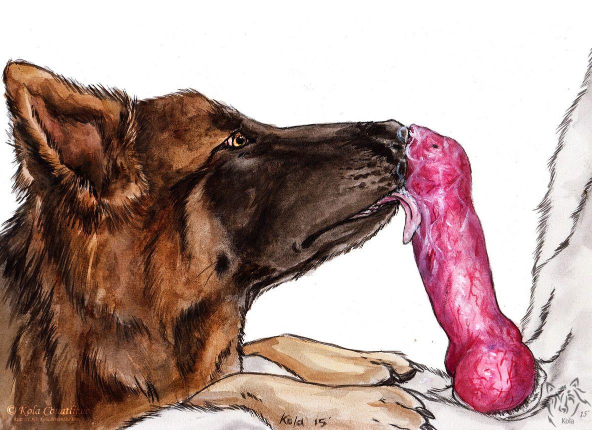 Dog Licks Dick Porn.