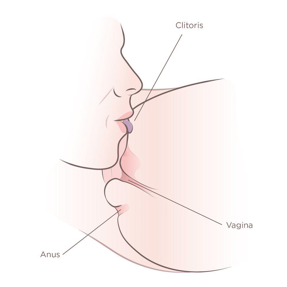 Proper way to lick a vagina