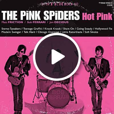 Wasp reccomend By lyric modern pink spider swinger