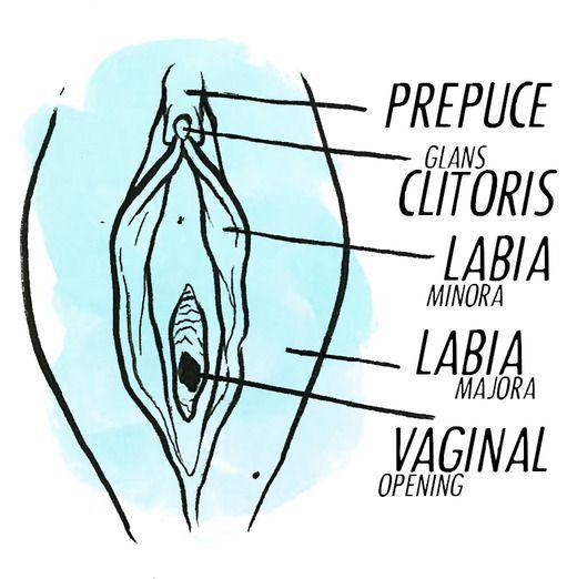 My clitoris hurts when touched