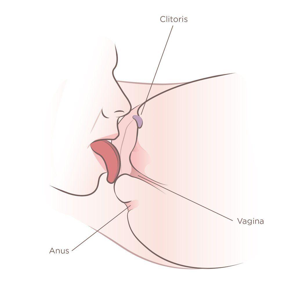 Junior reccomend Proper way to lick a vagina