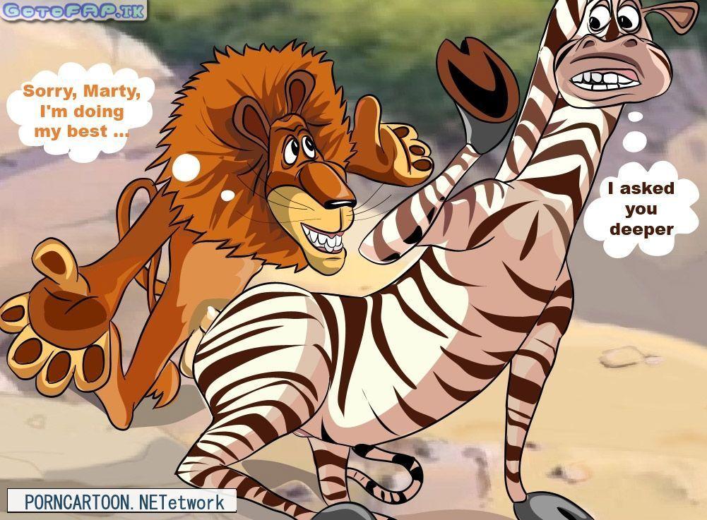 best of Zebra cartoon